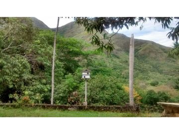 Finca en Venta en Carmen de Apicalá
