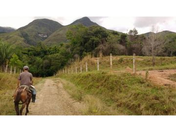 Finca en Venta en Carmen de Apicalá