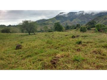 Finca en Venta en Carmen de Apicalá