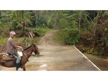 Finca en Venta en Carmen de Apicalá