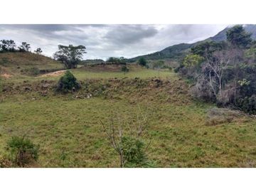 Finca en Venta en Carmen de Apicalá
