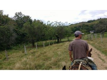 Finca en Venta en Carmen de Apicalá