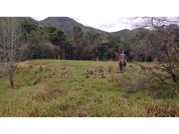 Finca en Venta en Carmen de Apicalá