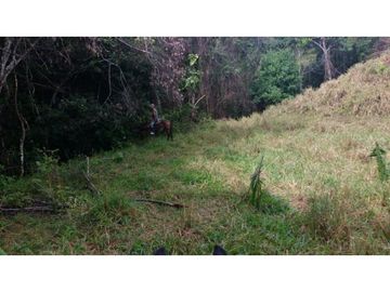 Finca en Venta en Carmen de Apicalá