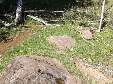 Agrícola en Venta en -40.2691, -72.30063