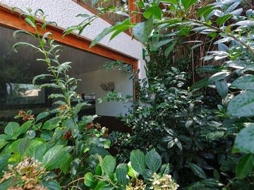 Casa en Venta en Los Araucanos / Padre Letelier