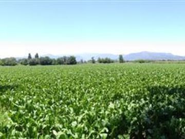 Parcela en Venta en Panimávida PC 29, Colbun, Linares