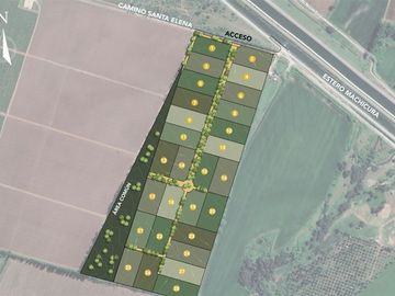 Parcela en Venta en Panimávida PC 29, Colbun, Linares
