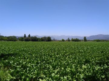 Parcela en Venta en Panimávida PC 29, Colbun, Linares