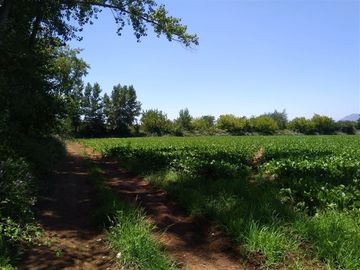 Parcela en Venta en Panimávida PC 29, Colbun, Linares