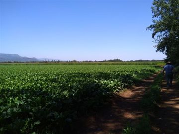 Parcela en Venta en Panimávida PC 29, Colbun, Linares
