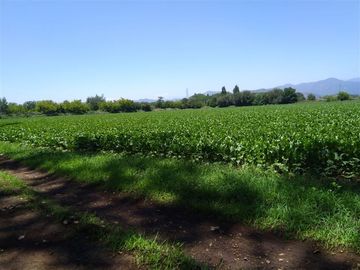 Parcela en Venta en Panimávida PC 29, Colbun, Linares