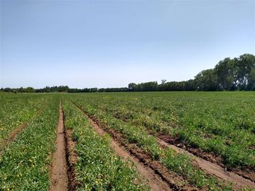 Parcela en Venta en Panimávida PC 29, Colbun, Linares