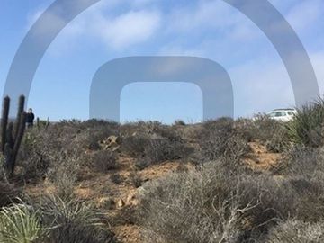 Sitio en Venta en Chacayes, Machalí