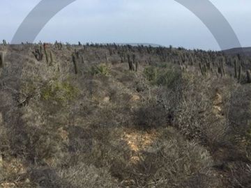 Sitio en Venta en Chacayes, Machalí