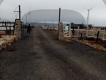 Sitio en Venta en Chacayes, Machalí