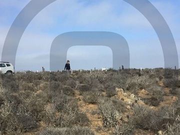 Sitio en Venta en Chacayes, Machalí