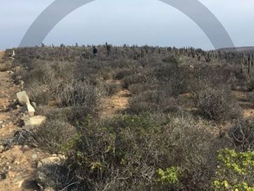 Sitio en Venta en Chacayes, Machalí