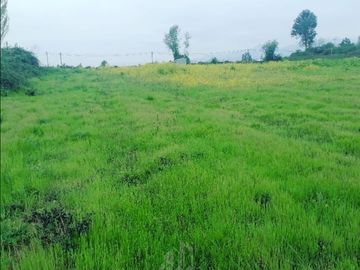 Parcela en Venta en Km 10,5 Montaña de Teno