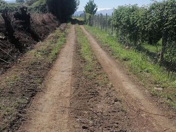 Parcela en Venta en Km 10,5 Montaña de Teno