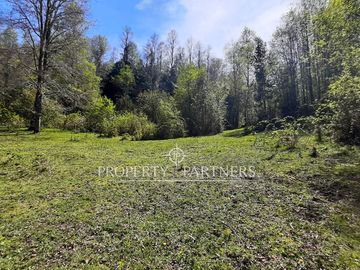 Precioso terreno en Los Tallos con bosque nativo