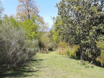 Precioso terreno en Los Tallos con bosque nativo