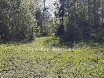 Precioso terreno en Los Tallos con bosque nativo