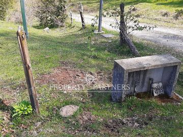 Precioso terreno en Los Tallos con bosque nativo
