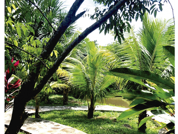 PROPIEDADES EN LINDO CONDOMINIO DE CAMPO