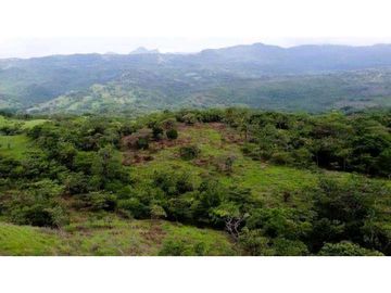 VENTA DE HERMOSA FINCA CERCA DE CORONADO, LIBERTAD Y BELLEZA NATURAL