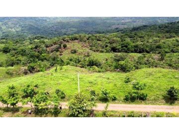 VENTA DE HERMOSA FINCA CERCA DE CORONADO, LIBERTAD Y BELLEZA NATURAL