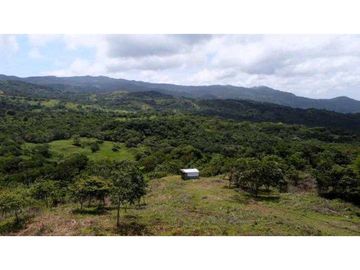 VENTA DE HERMOSA FINCA CERCA DE CORONADO, LIBERTAD Y BELLEZA NATURAL