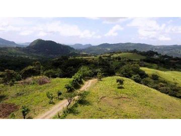 VENTA DE HERMOSA FINCA CERCA DE CORONADO, LIBERTAD Y BELLEZA NATURAL