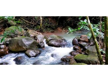 VENTA DE HERMOSA FINCA CERCA DE CORONADO, LIBERTAD Y BELLEZA NATURAL