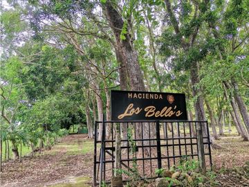 Venta de Finca en Bejuco de Chame, Panamá Oeste