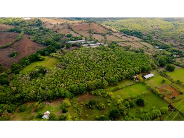 Venta de Finca en Bejuco de Chame, Panamá Oeste
