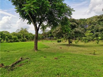 Venta de Finca en Bejuco de Chame, Panamá Oeste