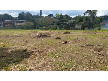 LOTE VIA  AL CARMEN, KLM 30 VIA AL MAR, A PIE DE CARRETERA