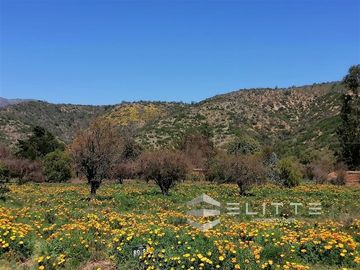 Parcela en Venta en (KRM12949) Hermosa parcela plana | En condominio consolidado| con agua y luz| sector exclusivo de Tapihue