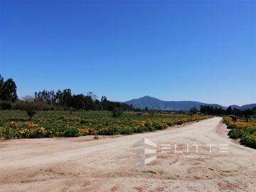 Parcela en Venta en (KRM12949) Hermosa parcela plana | En condominio consolidado| con agua y luz| sector exclusivo de Tapihue