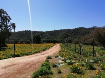 Parcela en Venta en (KRM12949) Hermosa parcela plana | En condominio consolidado| con agua y luz| sector exclusivo de Tapihue
