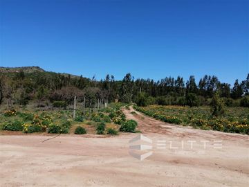 Parcela en Venta en (KRM12949) Hermosa parcela plana | En condominio consolidado| con agua y luz| sector exclusivo de Tapihue
