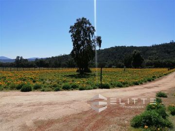 Parcela en Venta en (KRM12949) Hermosa parcela plana | En condominio consolidado| con agua y luz| sector exclusivo de Tapihue