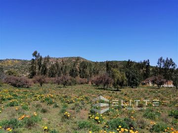 Parcela en Venta en (KRM12949) Hermosa parcela plana | En condominio consolidado| con agua y luz| sector exclusivo de Tapihue