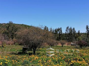 Parcela en Venta en (KRM12949) Hermosa parcela plana | En condominio consolidado| con agua y luz| sector exclusivo de Tapihue