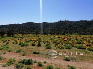 Parcela en Venta en (KRM12949) Hermosa parcela plana | En condominio consolidado| con agua y luz| sector exclusivo de Tapihue