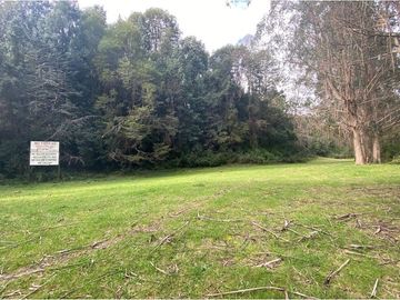 VENTA, Parcela  con bosque nativo y río,  Valdivia