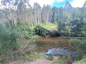 VENTA, Parcela  con bosque nativo y río,  Valdivia