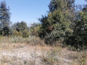 Terreno en venta de 40,000 m2, Carboneras Mineral del Chico, Hidalgo