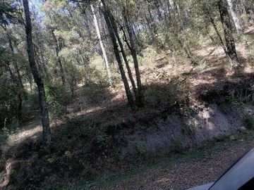 Terreno en venta de 40,000 m2, Carboneras Mineral del Chico, Hidalgo